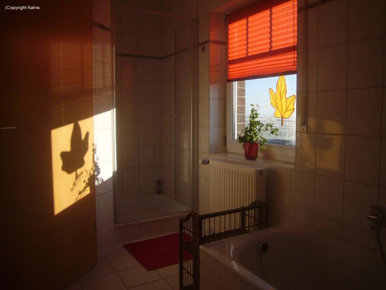 Schattenspiel