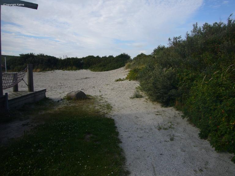 Dnen