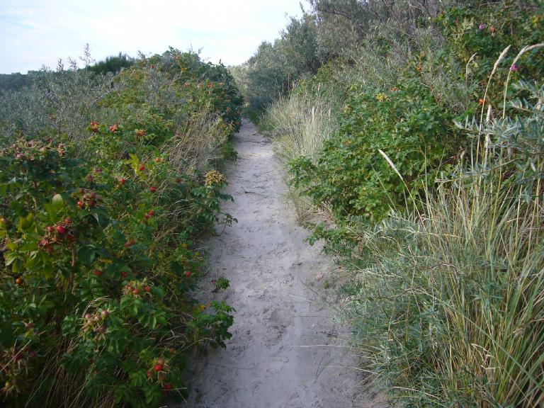 Dnenweg