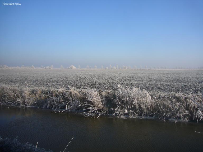 Winter (1)