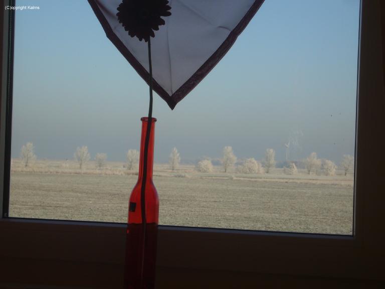 Winter (6)