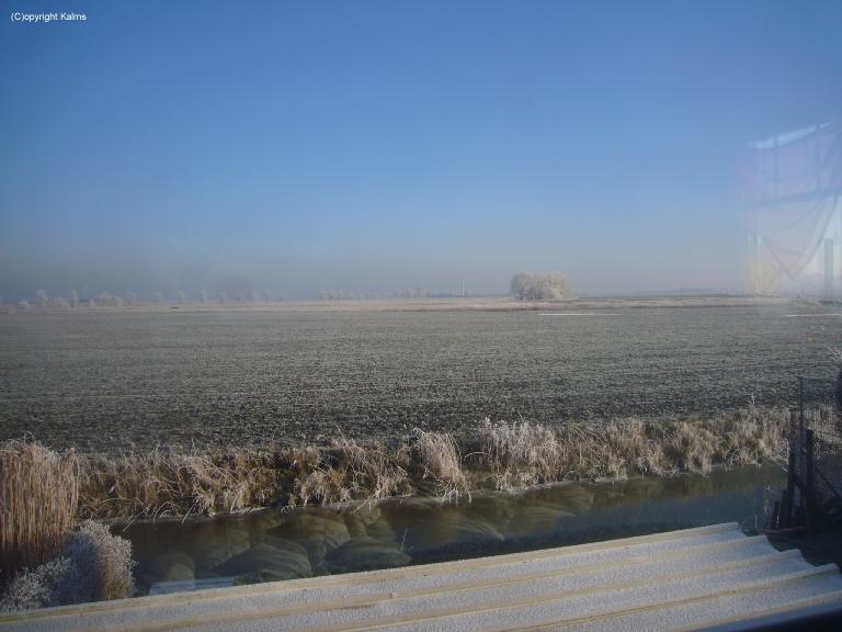 Winter (8)