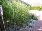 Gras-des-Nordens
