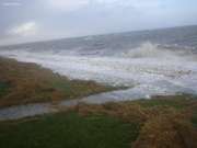Sturm-Tilo (5)