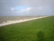 Sturm-Tilo (6)
