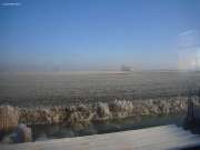 Winter (8)